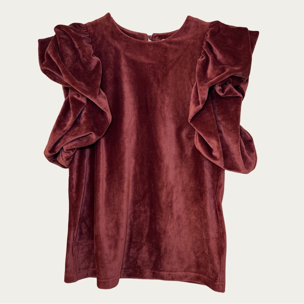 THML Velvet Blouse with Dramatic Ruffle Sleeves -‎ Deep Rust Women’s  XS